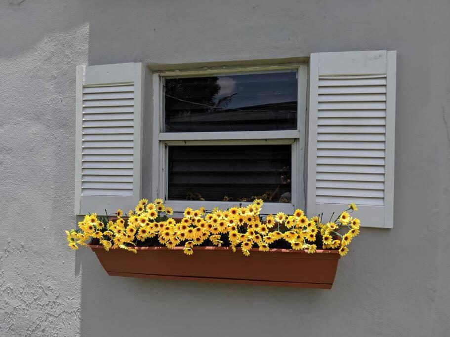 3 Bedroom Miami Home 15 Minutes To The Beach Kültér fotó